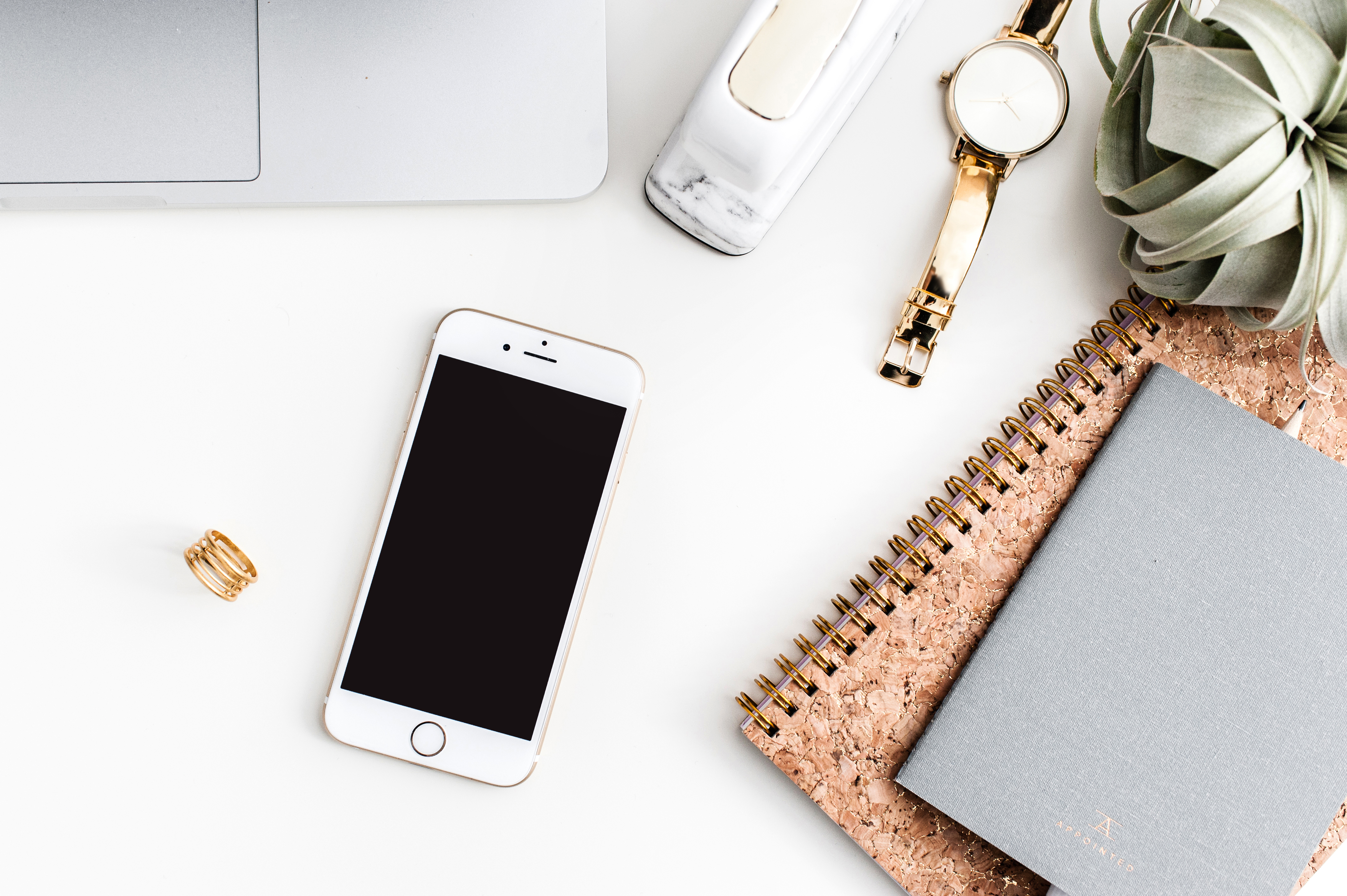 The top 5 things you MUST include in your virtual assistant website | Ava And The Bee - Virtual Assistant for Wedding Professionals